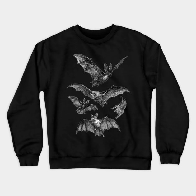 Release the Bats Crewneck Sweatshirt by becauseskulls